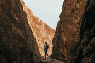 a person standing on a rock in a canyon by NEOM courtesy of Unsplash.