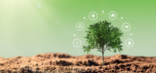 Renewable Energy Ecology Concept with Tree